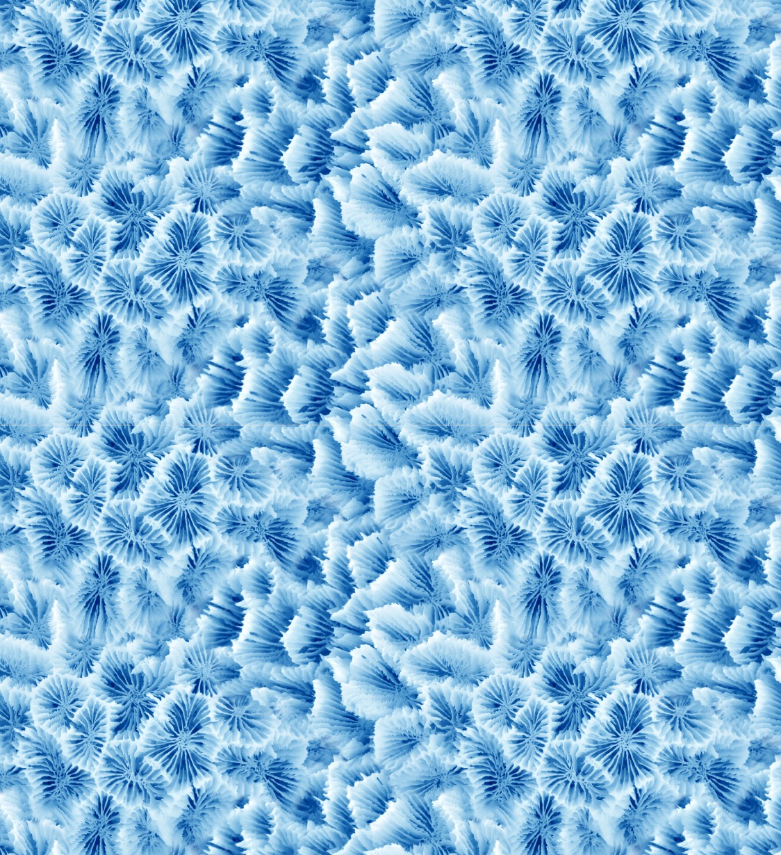 estampado-coral-azul